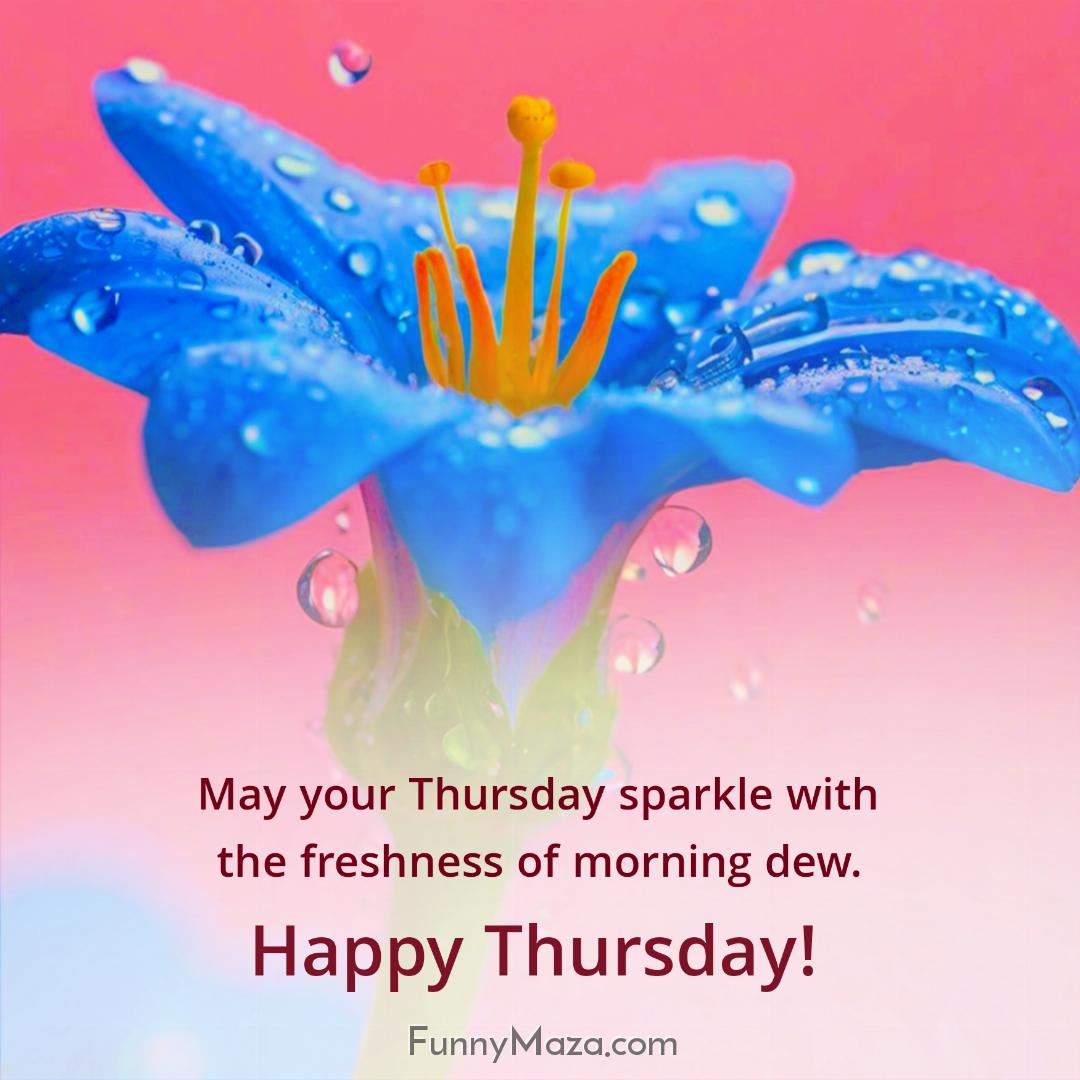 May your Thursday sparkle with the freshness of morning dew