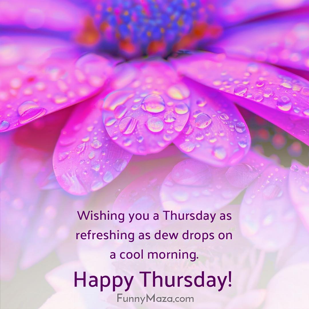 Wishing you a Thursday as refreshing as dew drops on a