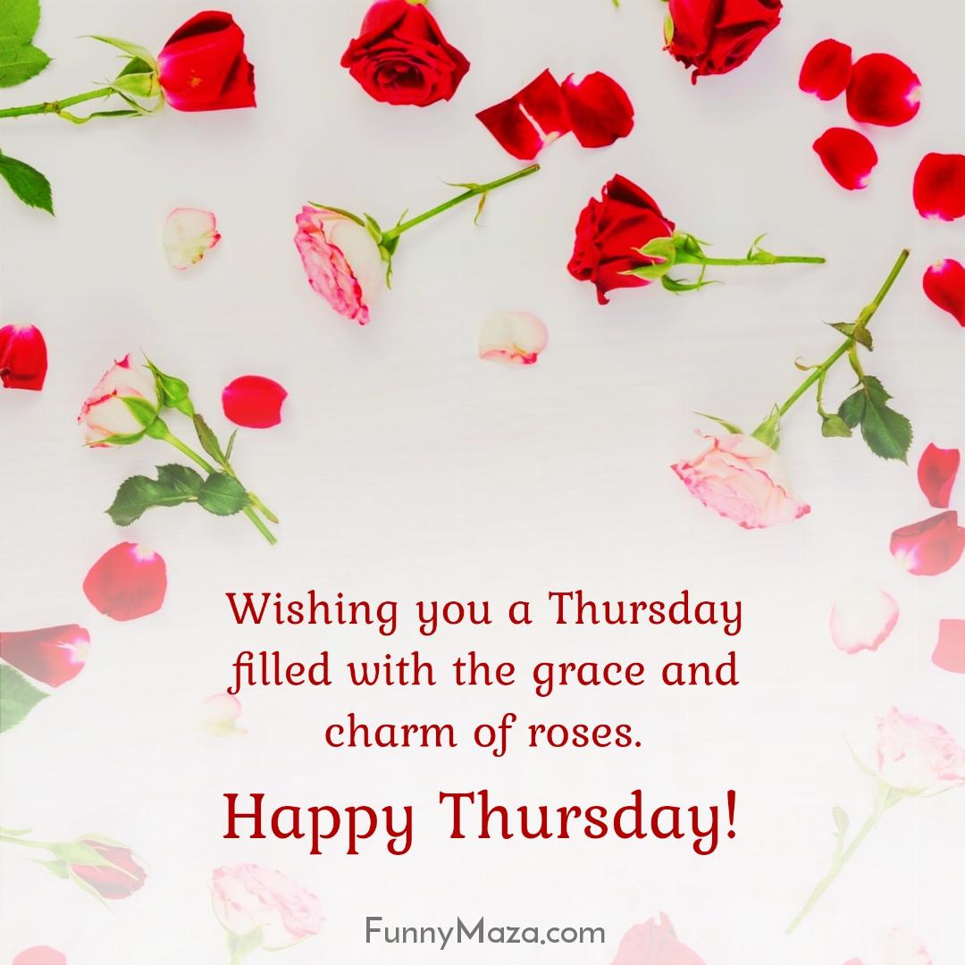 Wishing you a Thursday filled with the grace and charm of