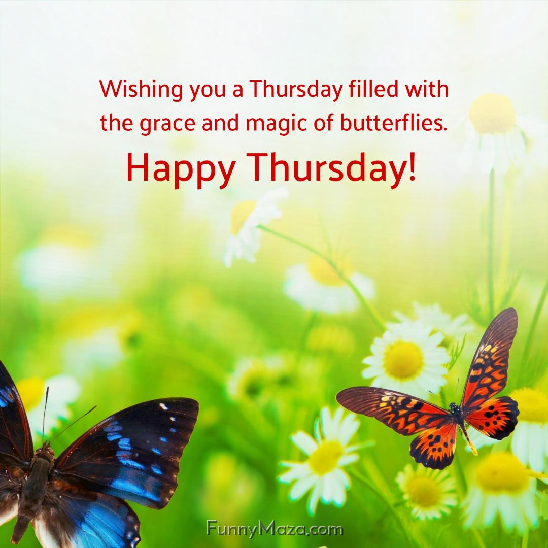 Wishing you a Thursday filled with the grace and magic of