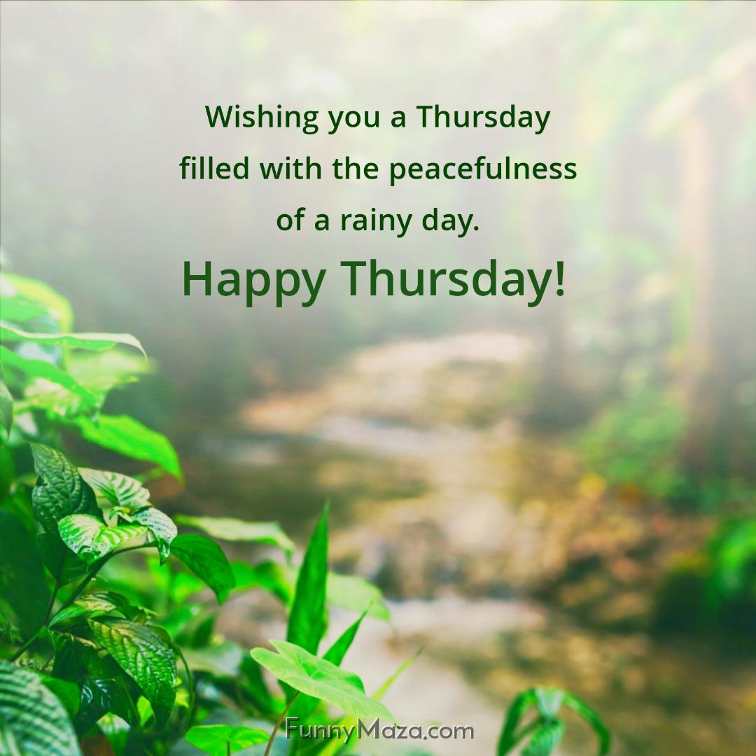 Wishing you a Thursday filled with the peacefulness of a rainy