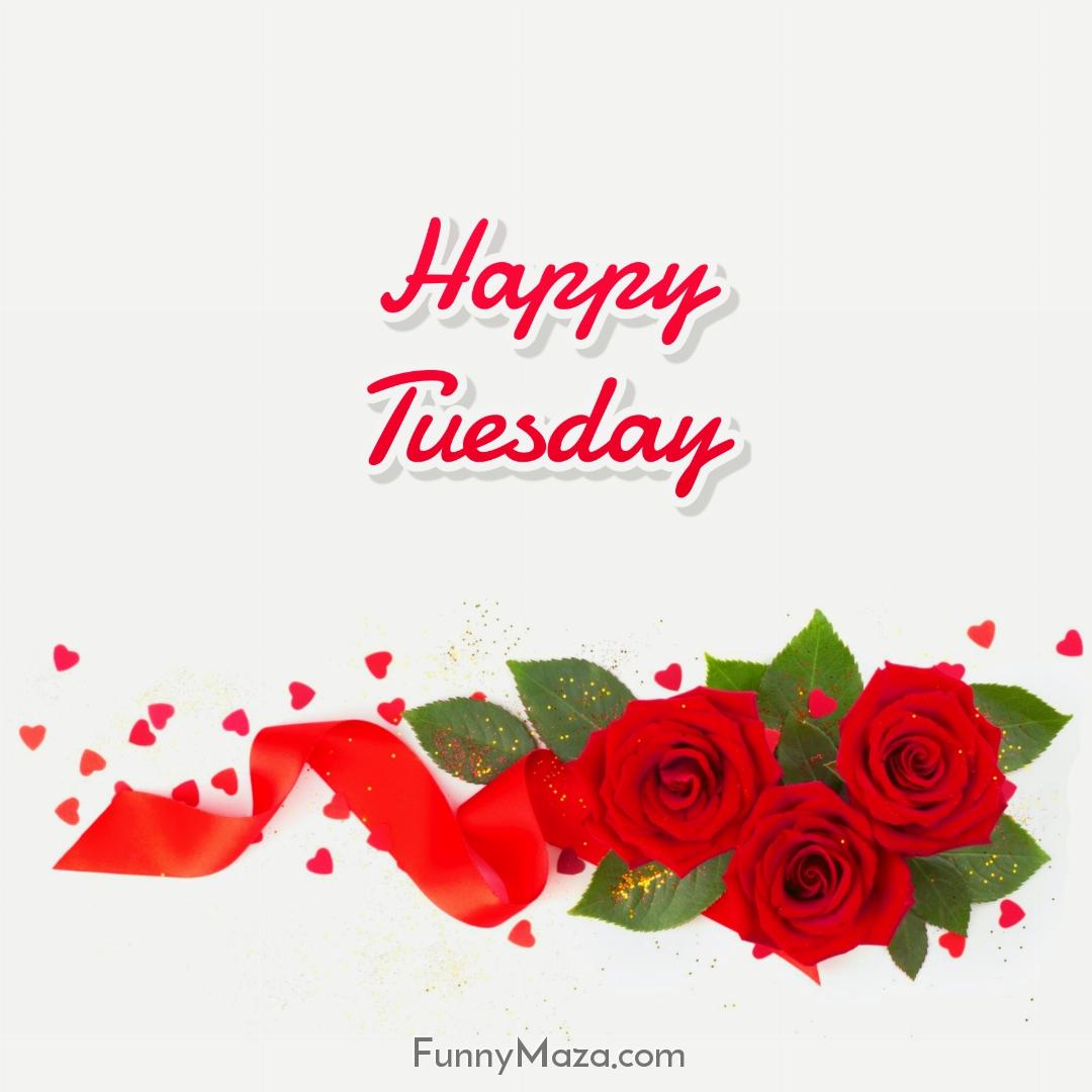 Beautiful Tuesday Rose Love Images