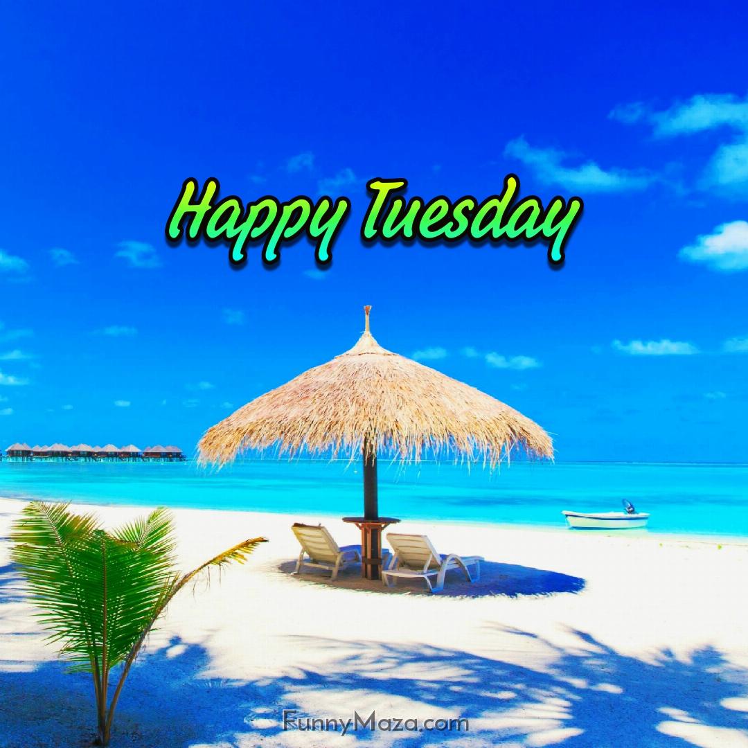 Happy Tuesday Beach 2024 Images