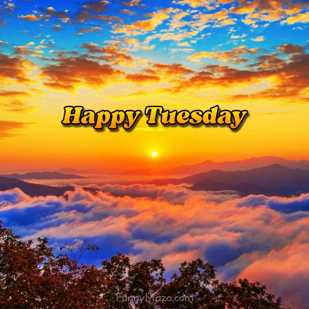 Happy Tuesday Nature 2024 Images