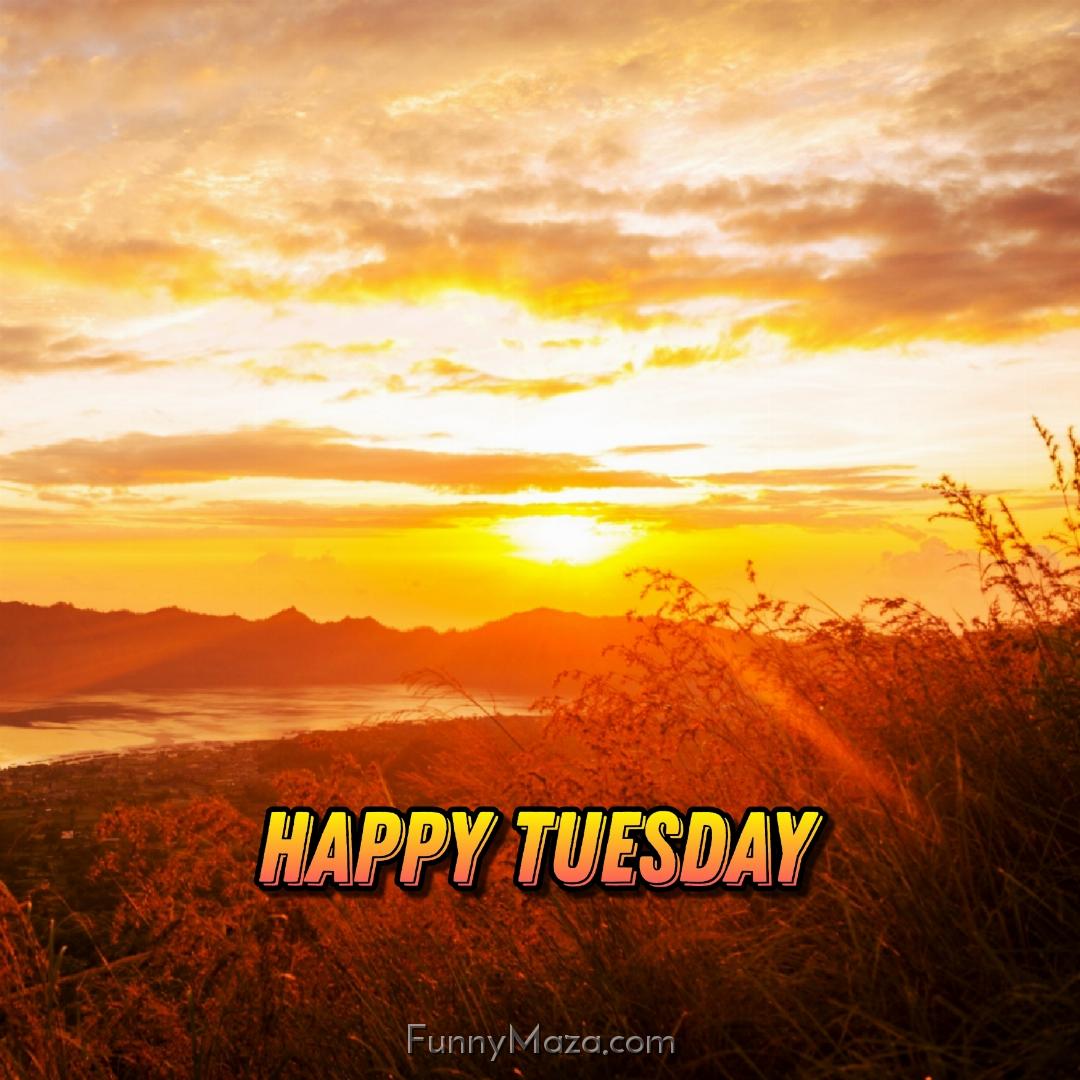 Happy Tuesday Nature Wallpaper