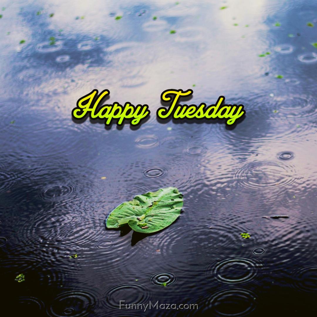 Happy Tuesday Rainy 2024 Images