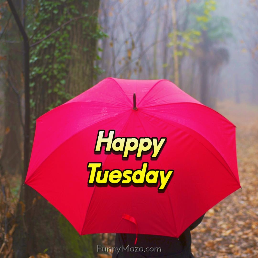 Happy Tuesday Rainy Wallpaper