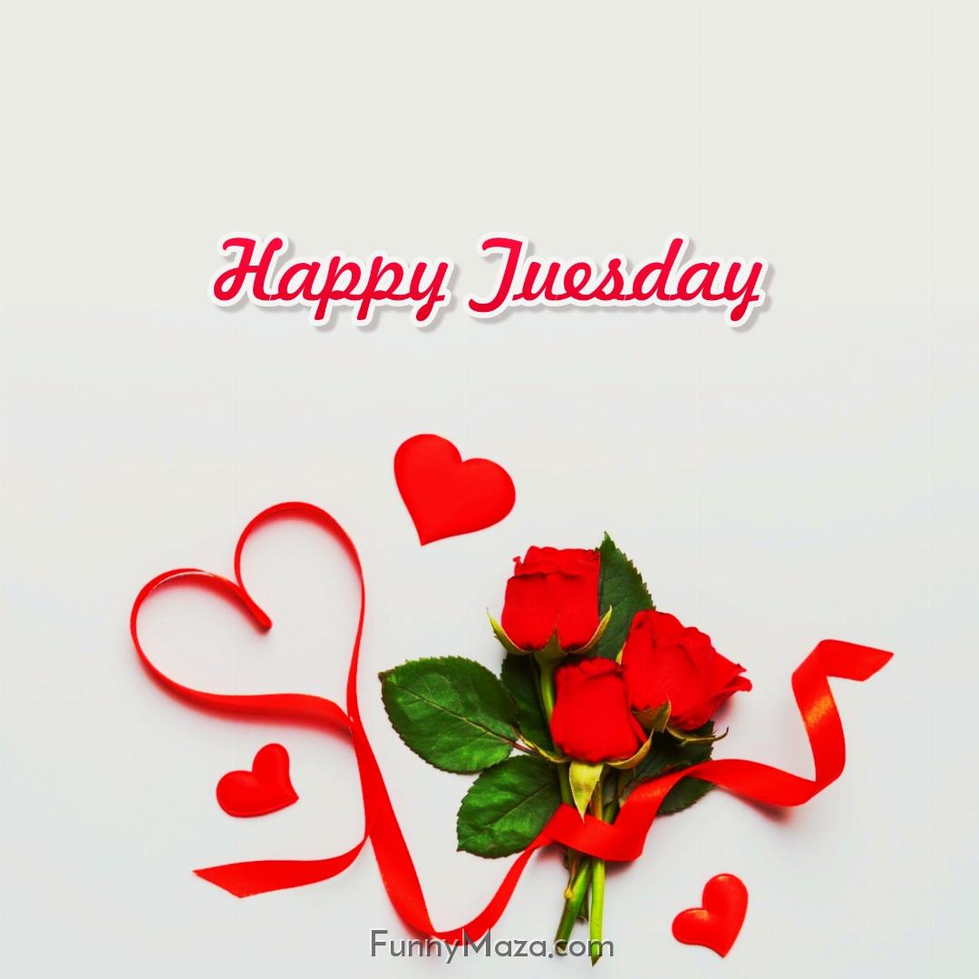 Happy Tuesday Rose Love 2024 Images