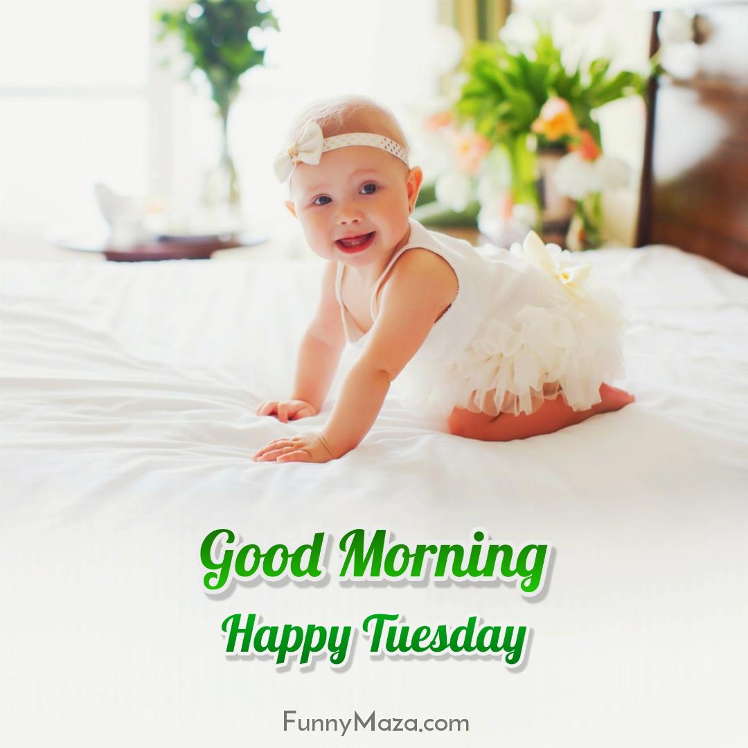 Good Morning Happy Tuesday Baby 2024 Images