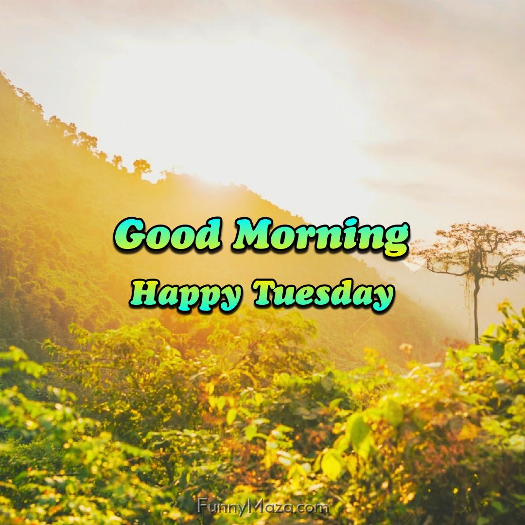 Good Morning Happy Tuesday Nature 2024 Images