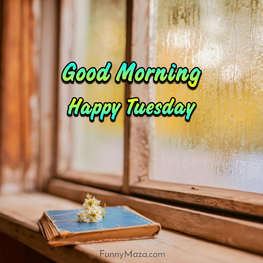 Good Morning Happy Tuesday Rainy 2024 Images