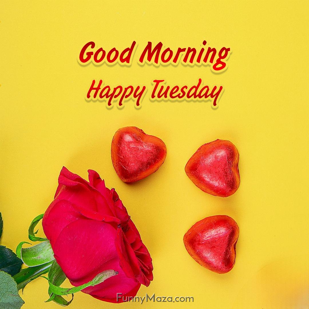 Good Morning Happy Tuesday Rose Love Wallpaper