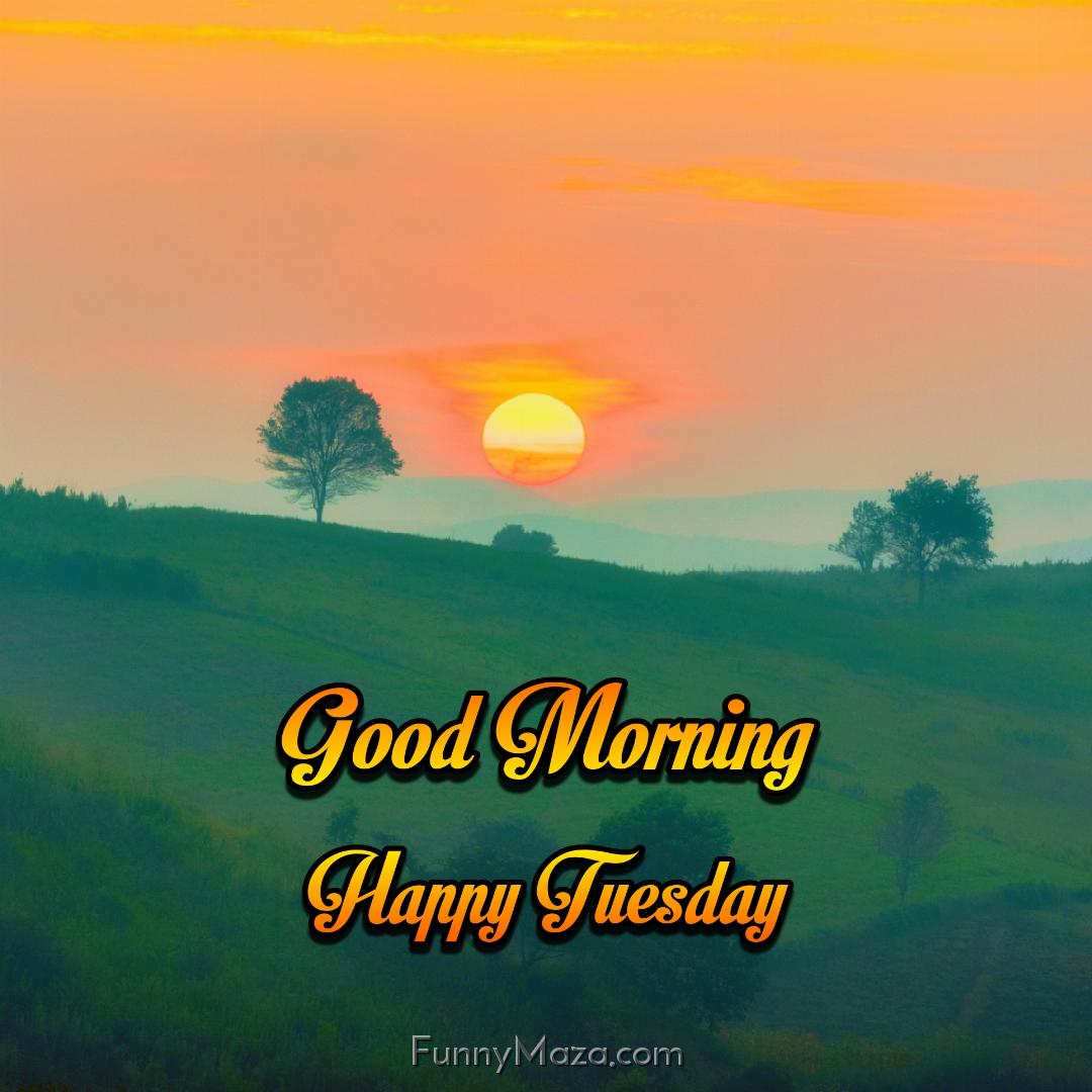 New Good Morning Happy Tuesday Nature Images 2024 HD Download