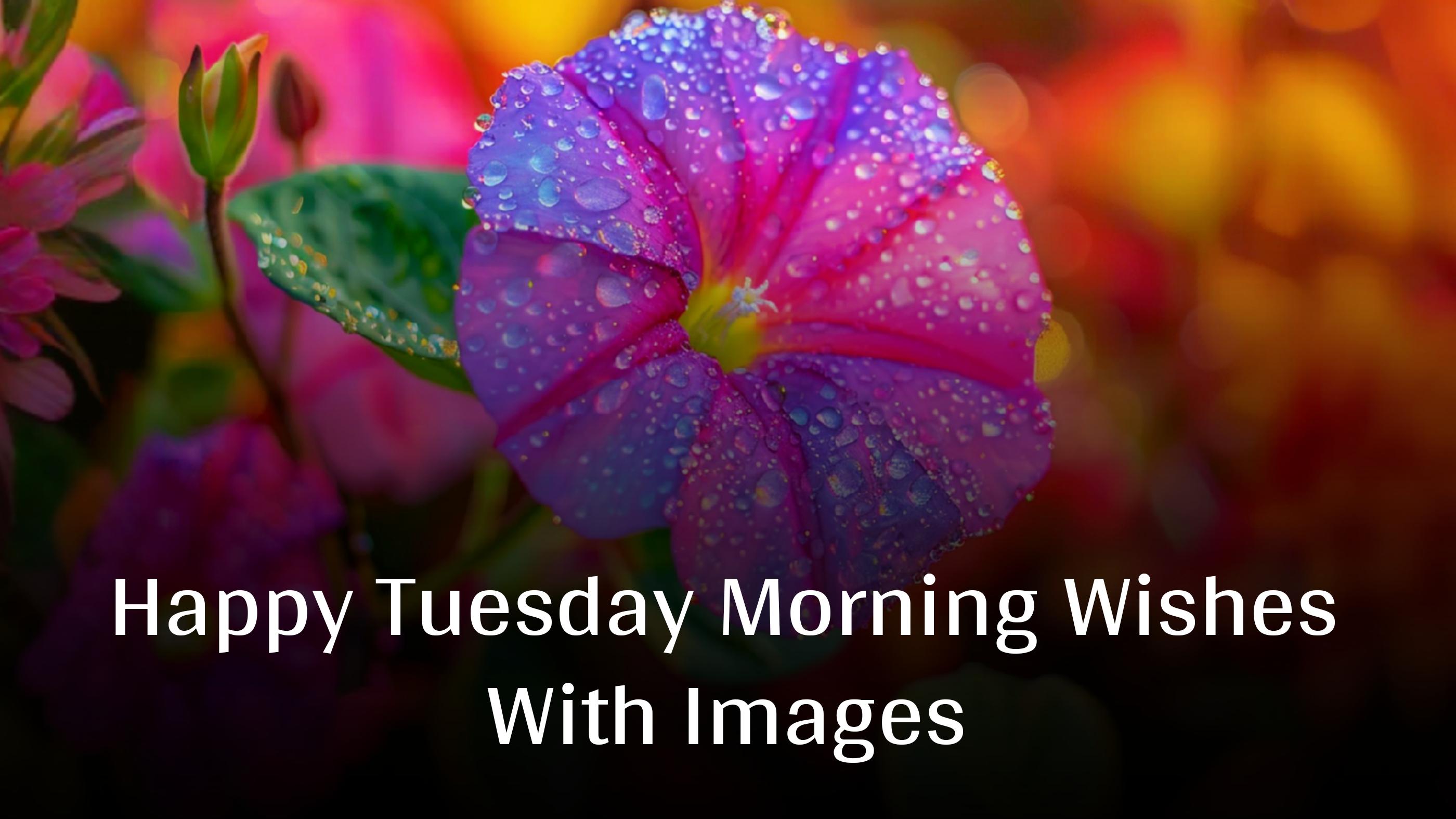 Happy Tuesday Morning Wishes With Images