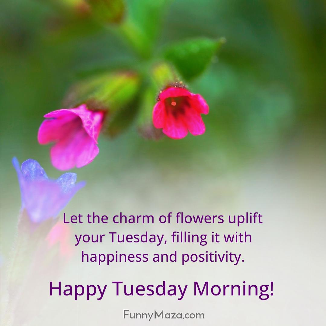 Let the charm of flowers uplift your Tuesday filling it with