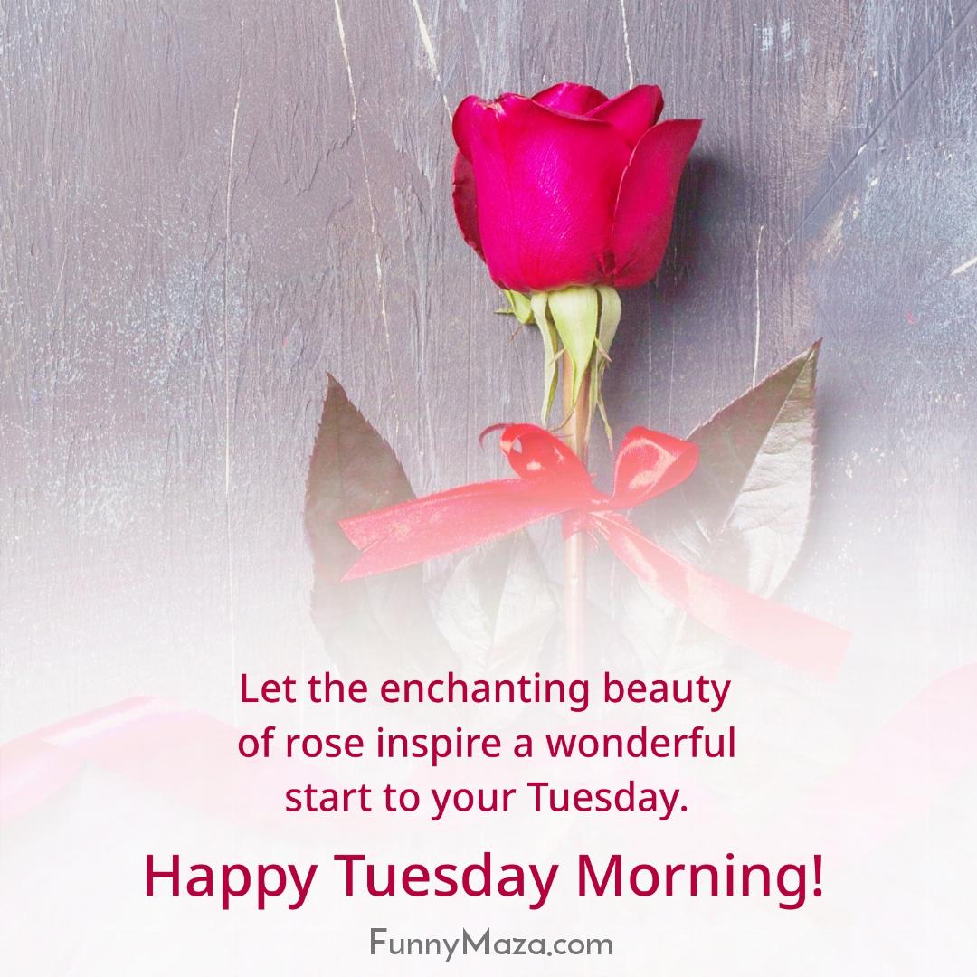 Let the enchanting beauty of rose inspire a wonderful start to