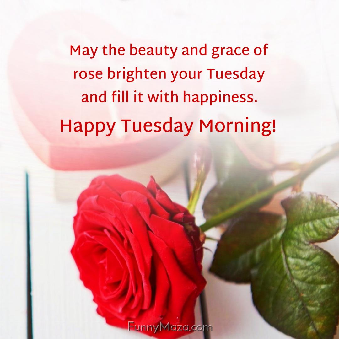 May the beauty and grace of rose brighten your Tuesday and