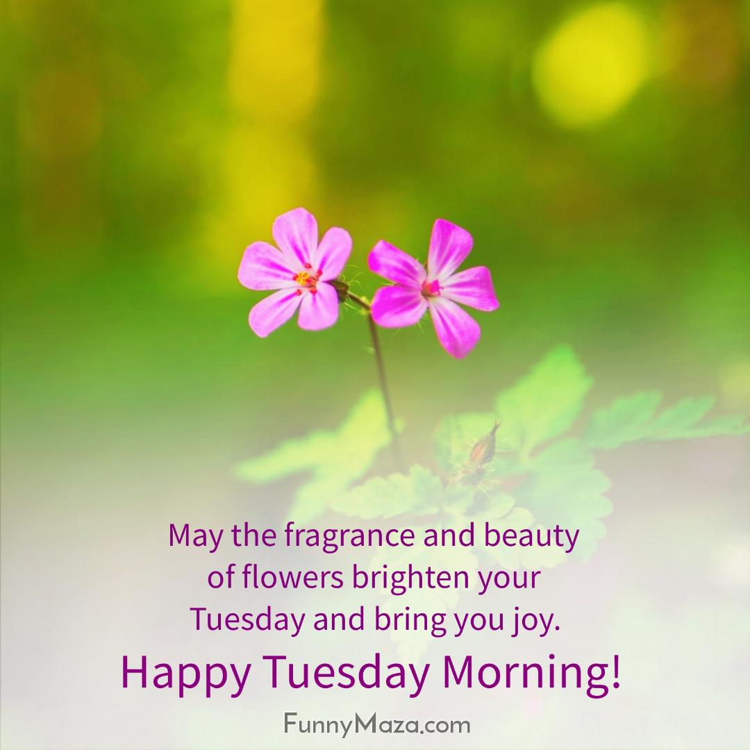 May the fragrance and beauty of flowers brighten your Tuesday and