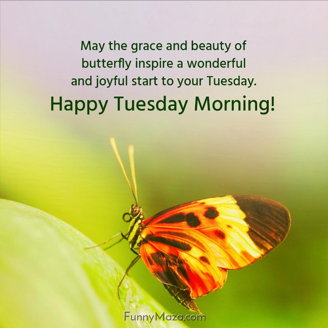 May the grace and beauty of butterfly inspire a wonderful and