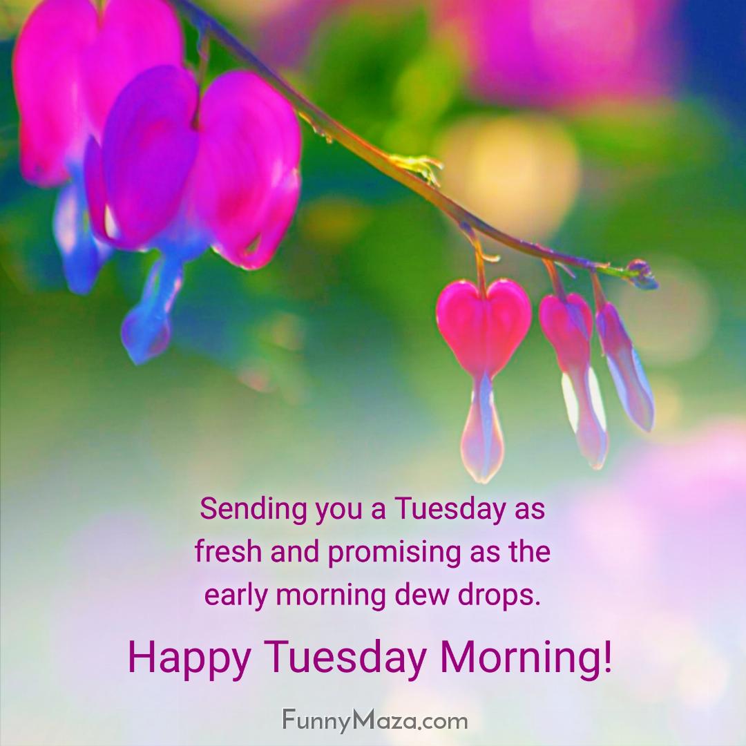 Sending you a Tuesday as fresh and promising as the early