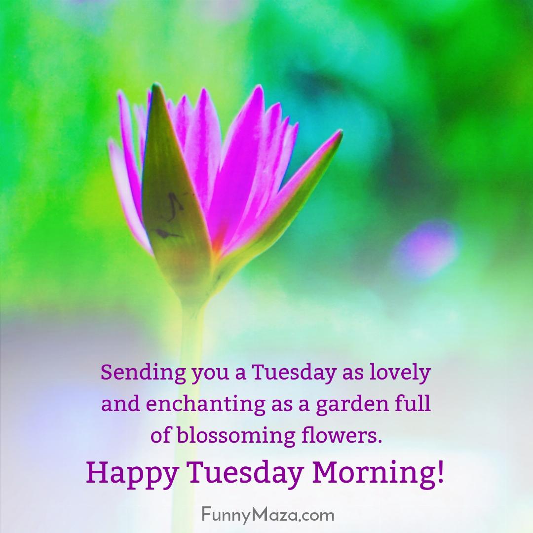 Sending you a Tuesday as lovely and enchanting as a garden