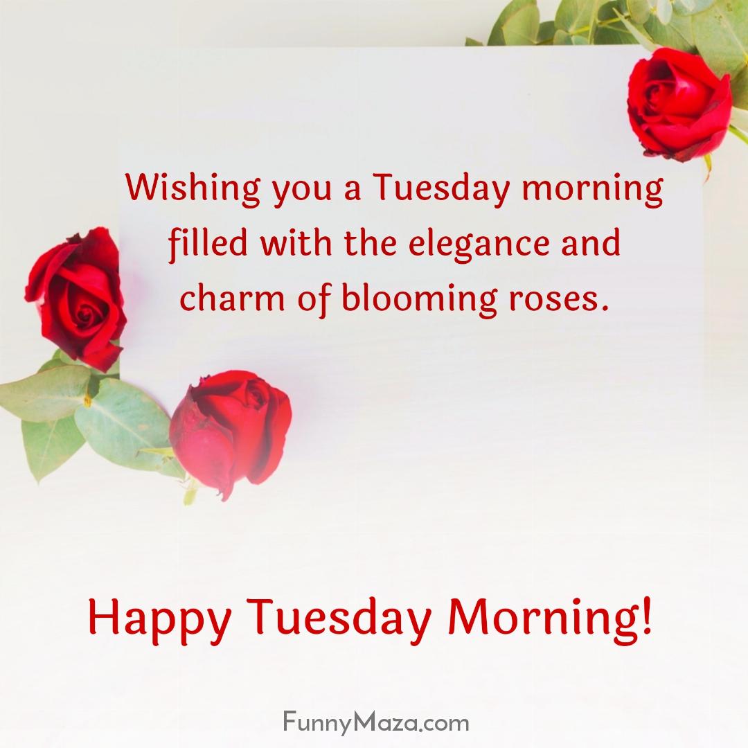 Wishing you a Tuesday morning filled with the elegance and charm