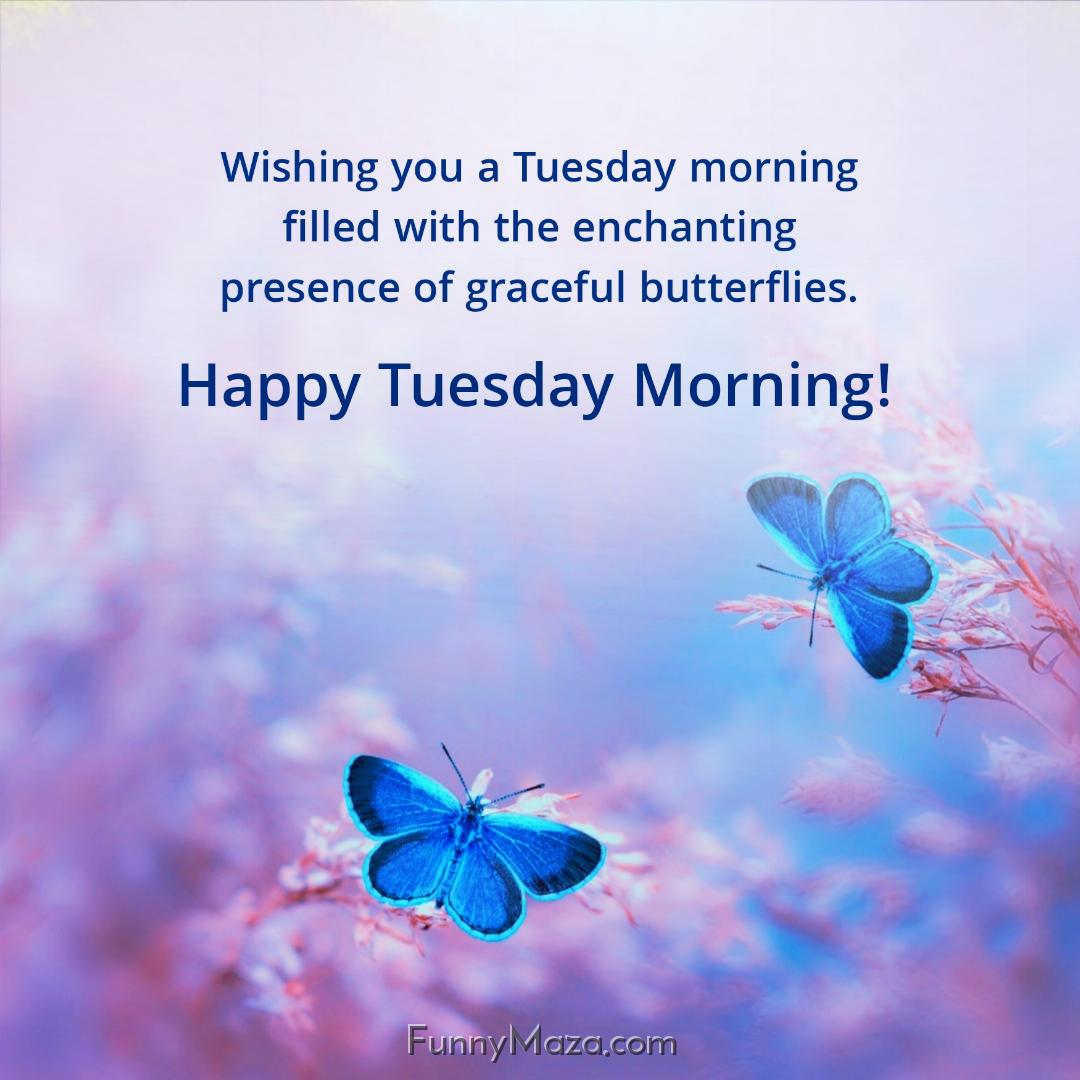 Wishing you a Tuesday morning filled with the enchanting presence of