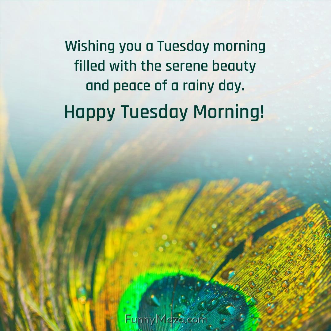 Wishing you a Tuesday morning filled with the serene beauty and