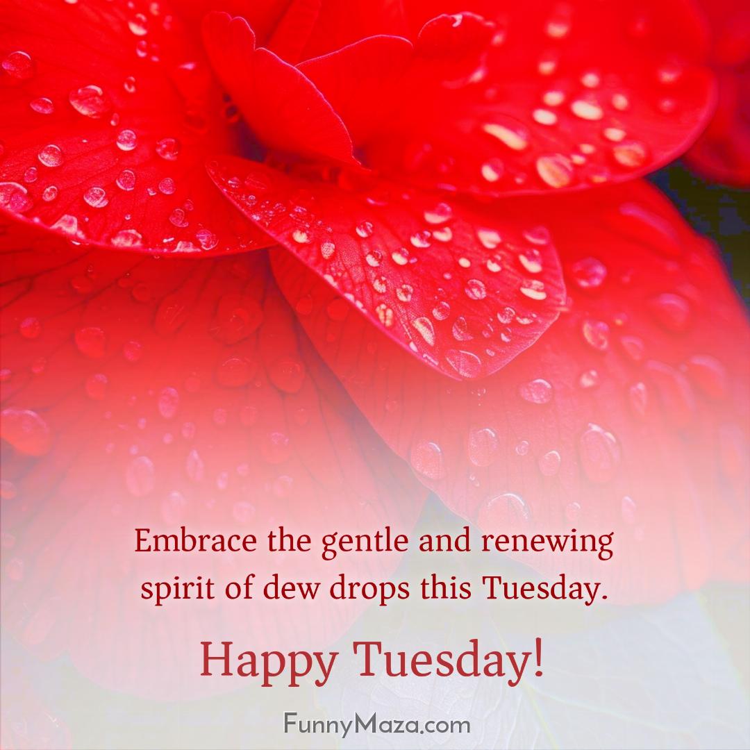 Embrace the gentle and renewing spirit of dew drops this Tuesday