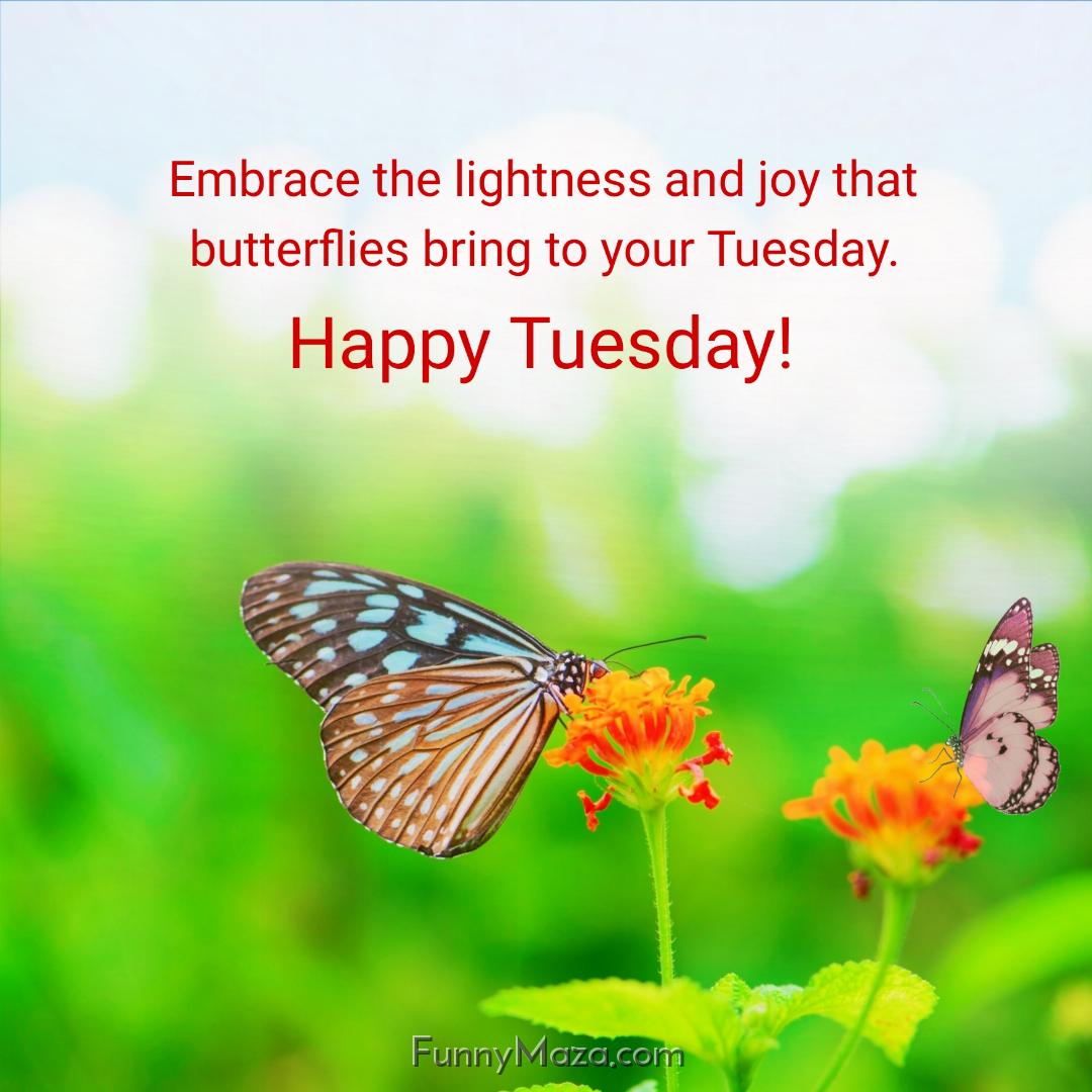 Embrace the lightness and joy that butterflies bring to your Tuesday