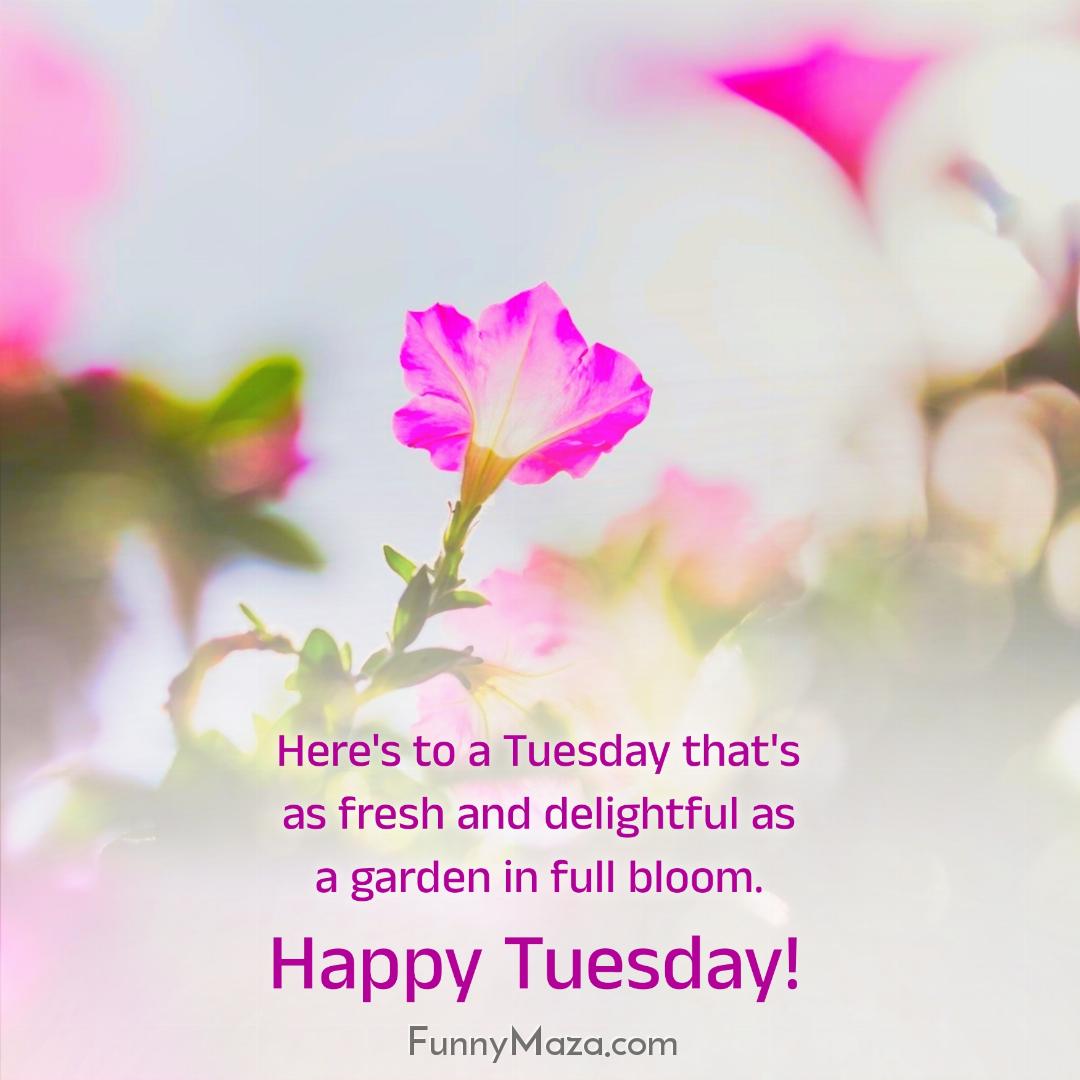 Here's to a Tuesday that's as fresh and delightful as a