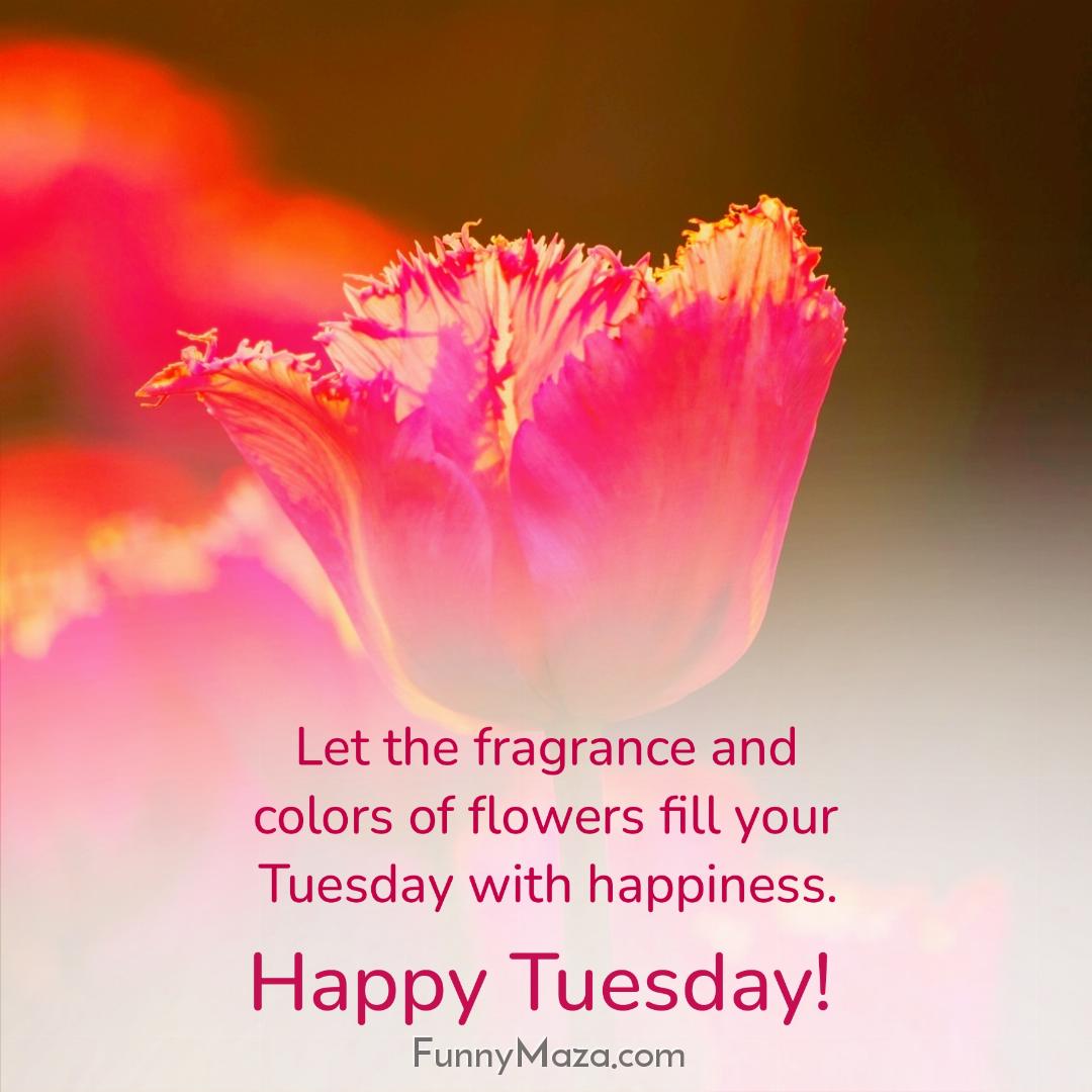 Let the fragrance and colors of flowers fill your Tuesday with