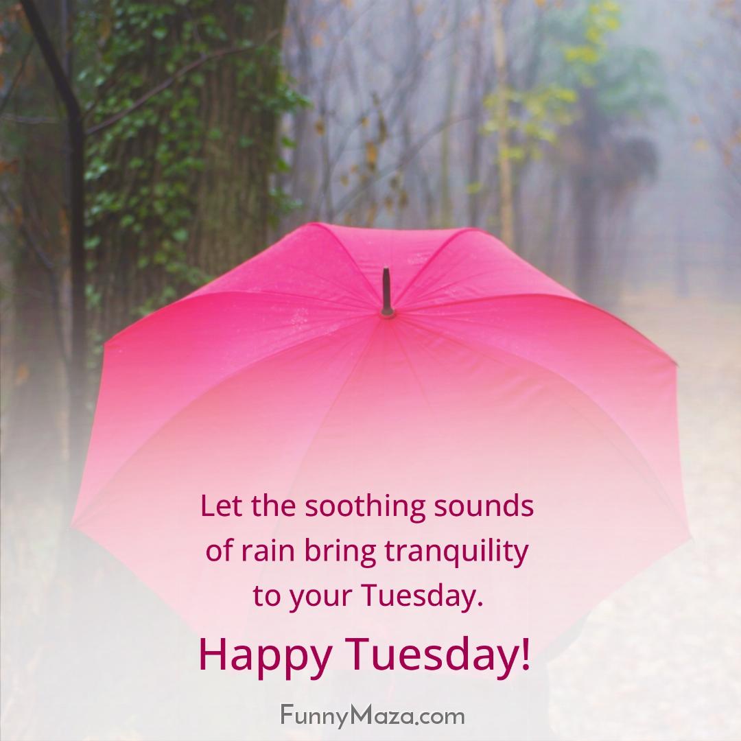 Let the soothing sounds of rain bring tranquility to your Tuesday