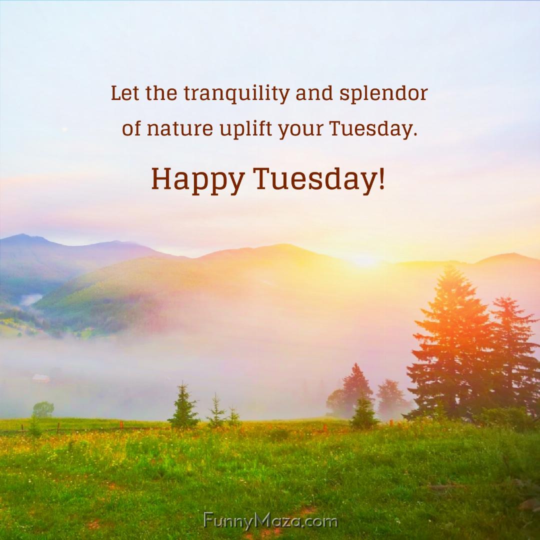 Let the tranquility and splendor of nature uplift your Tuesday