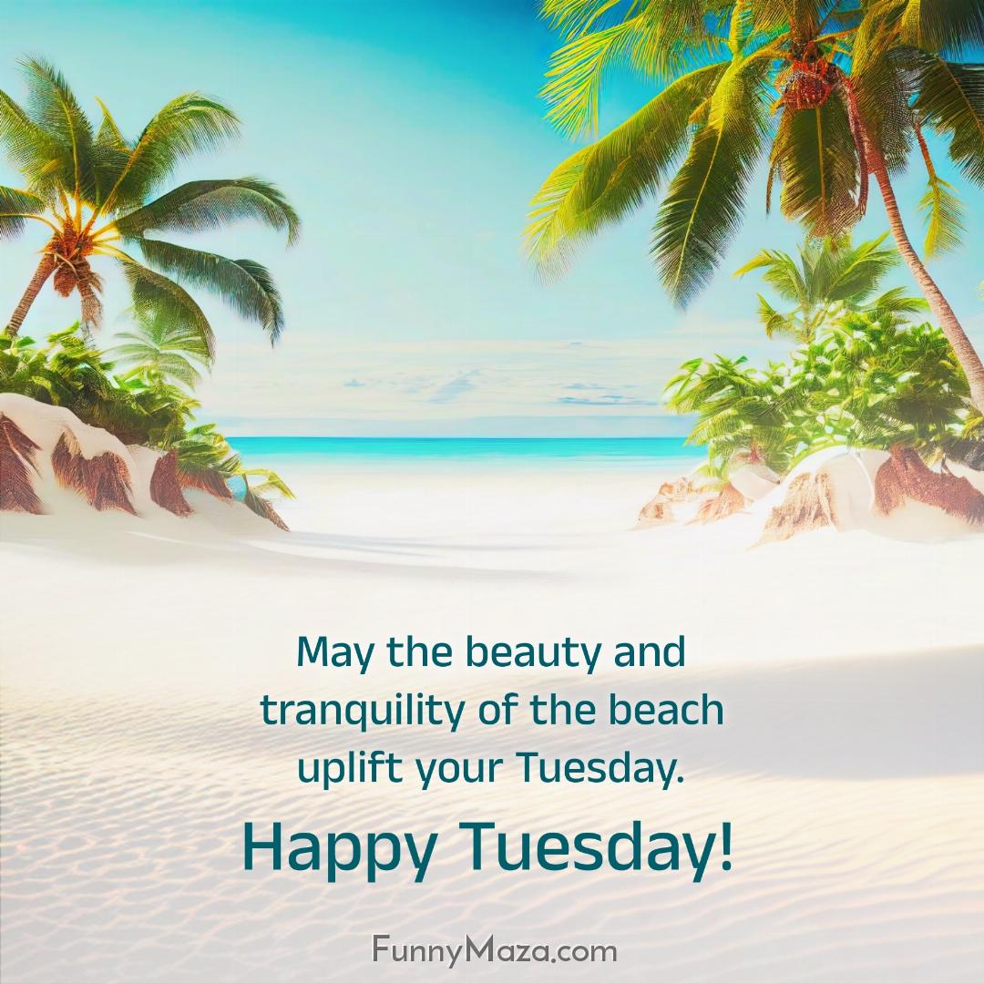 May the beauty and tranquility of the beach uplift your Tuesday