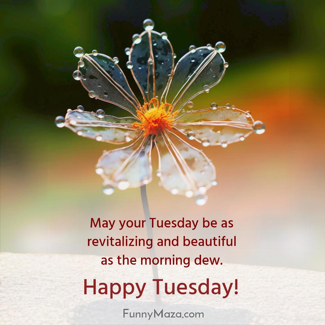 May your Tuesday be as revitalizing and beautiful as the morning