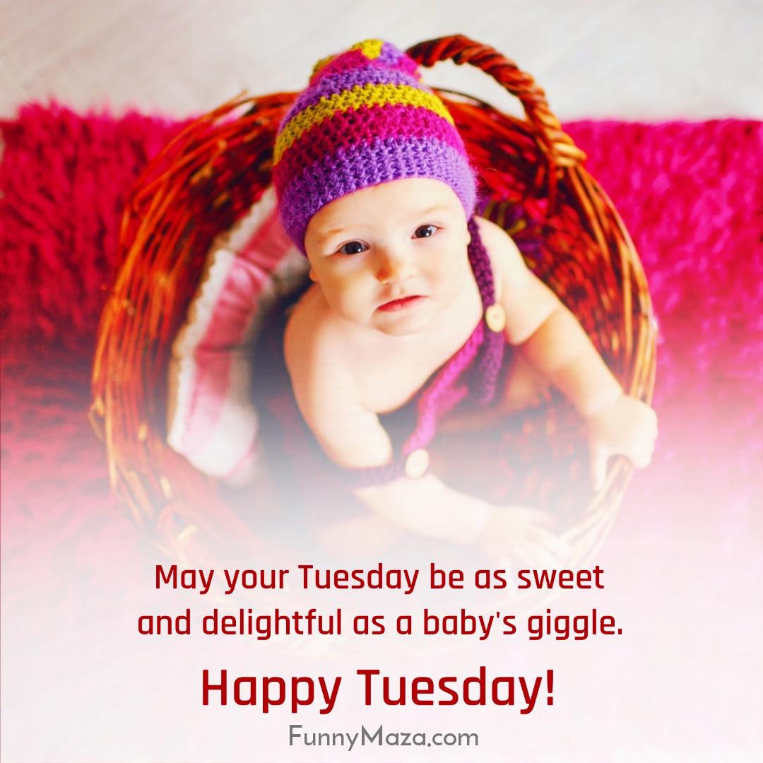 May your Tuesday be as sweet and delightful as a baby's