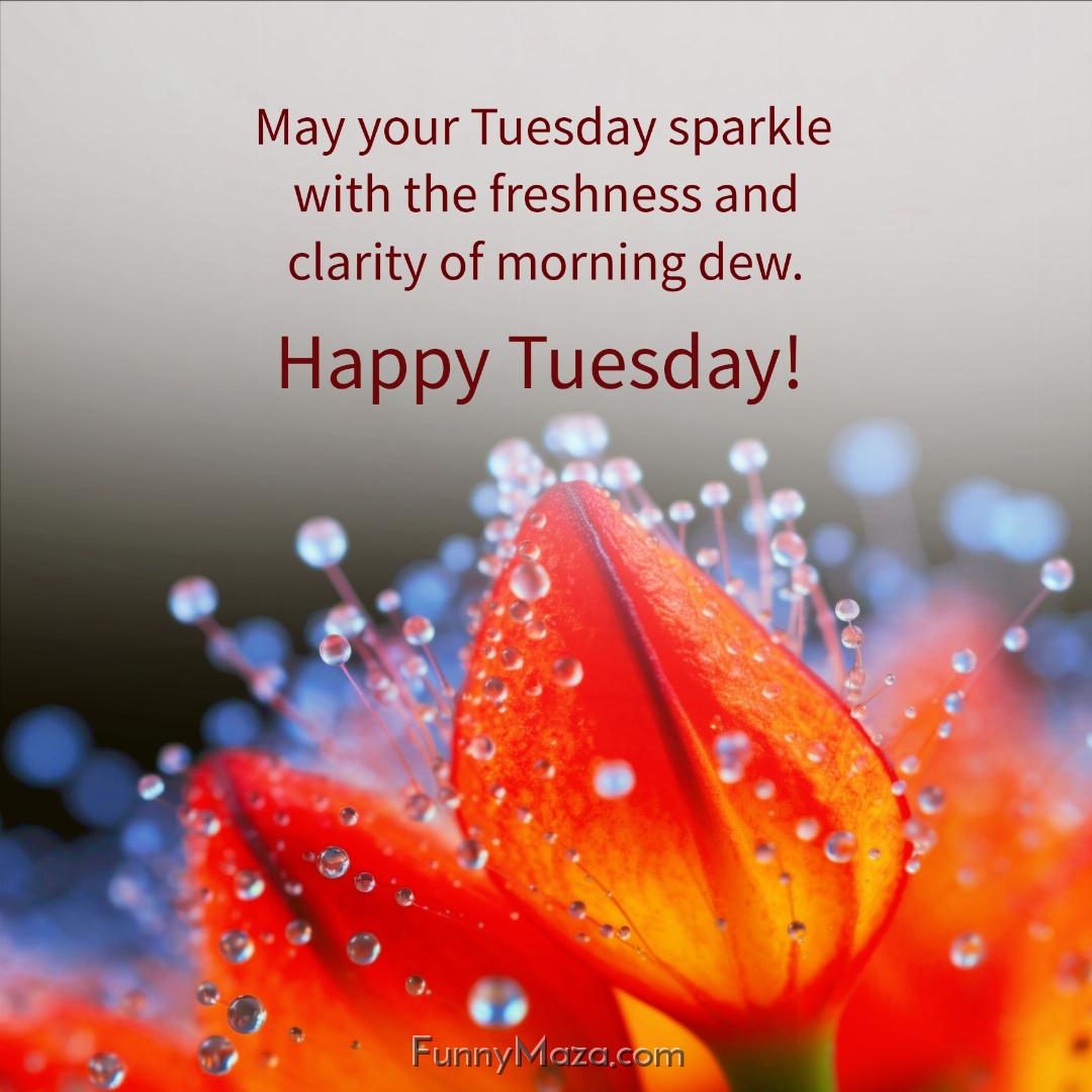 May your Tuesday sparkle with the freshness and clarity of morning