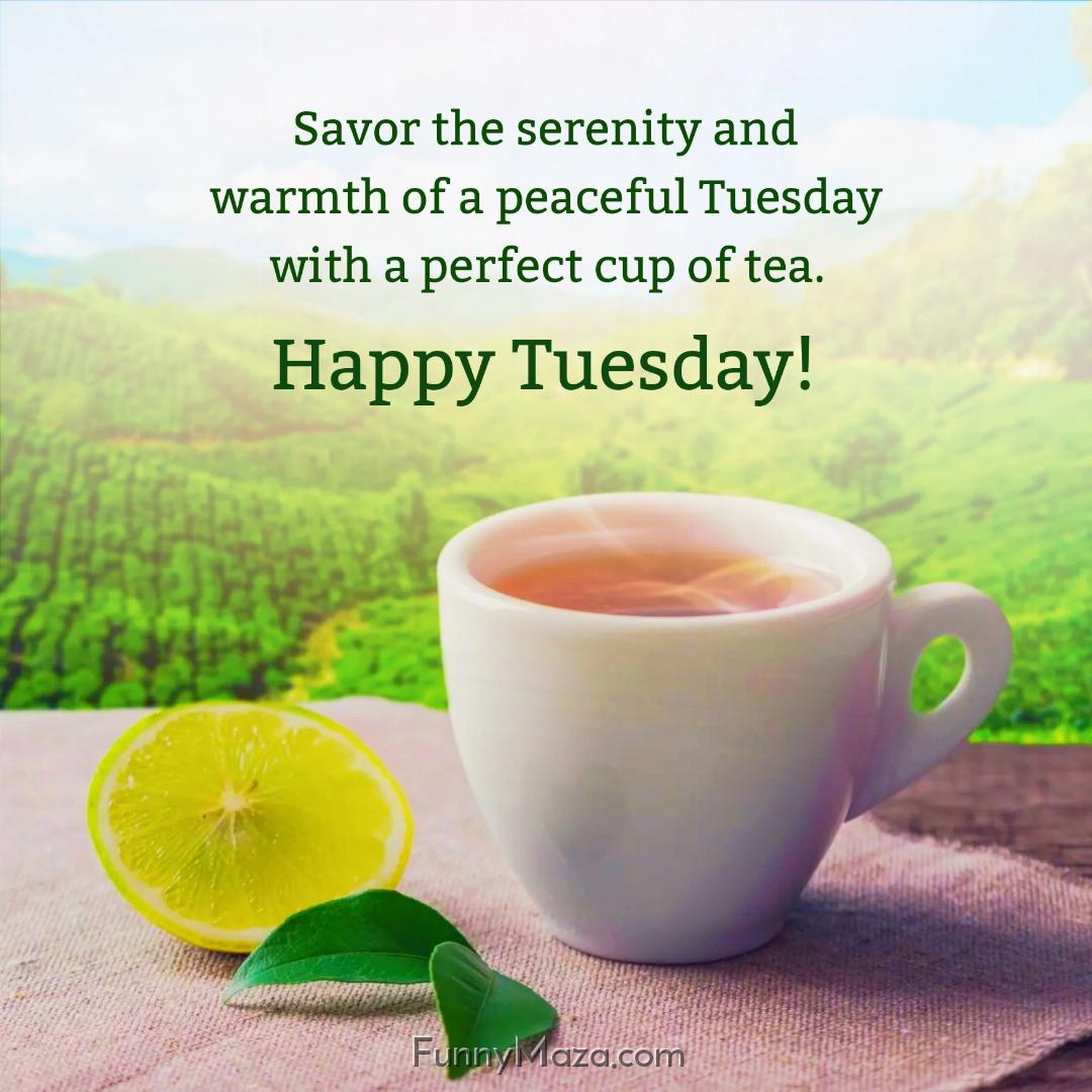 Savor the serenity and warmth of a peaceful Tuesday with a