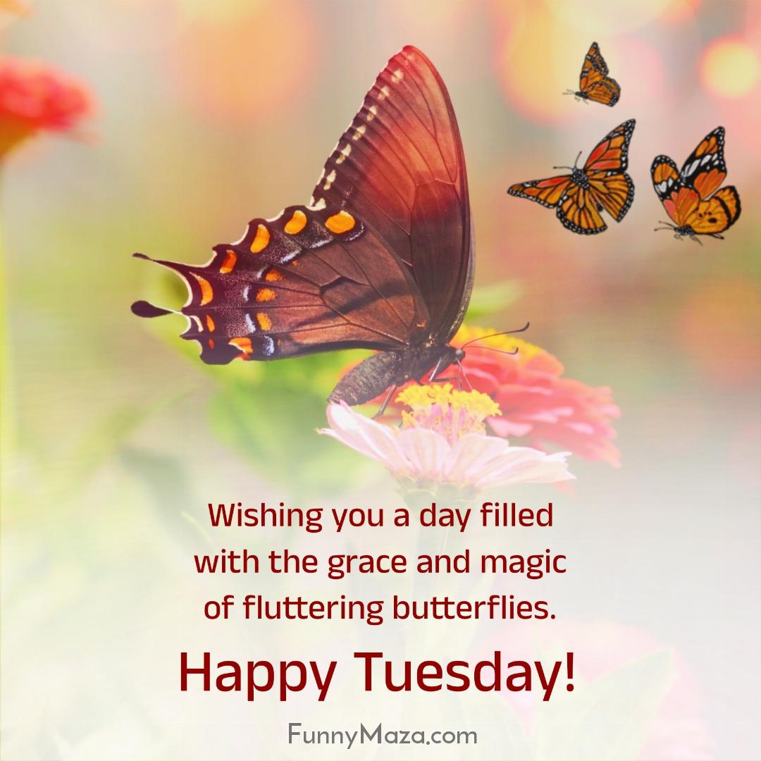 Wishing you a day filled with the grace and magic of