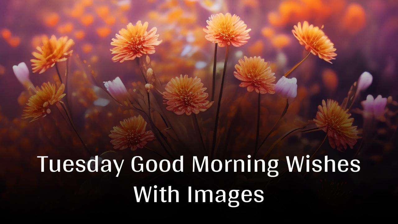 Tuesday Good Morning Wishes With Images