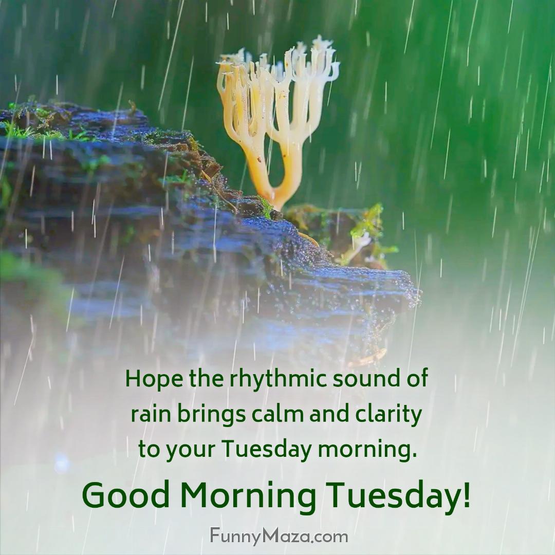 Hope the rhythmic sound of rain brings calm and clarity to