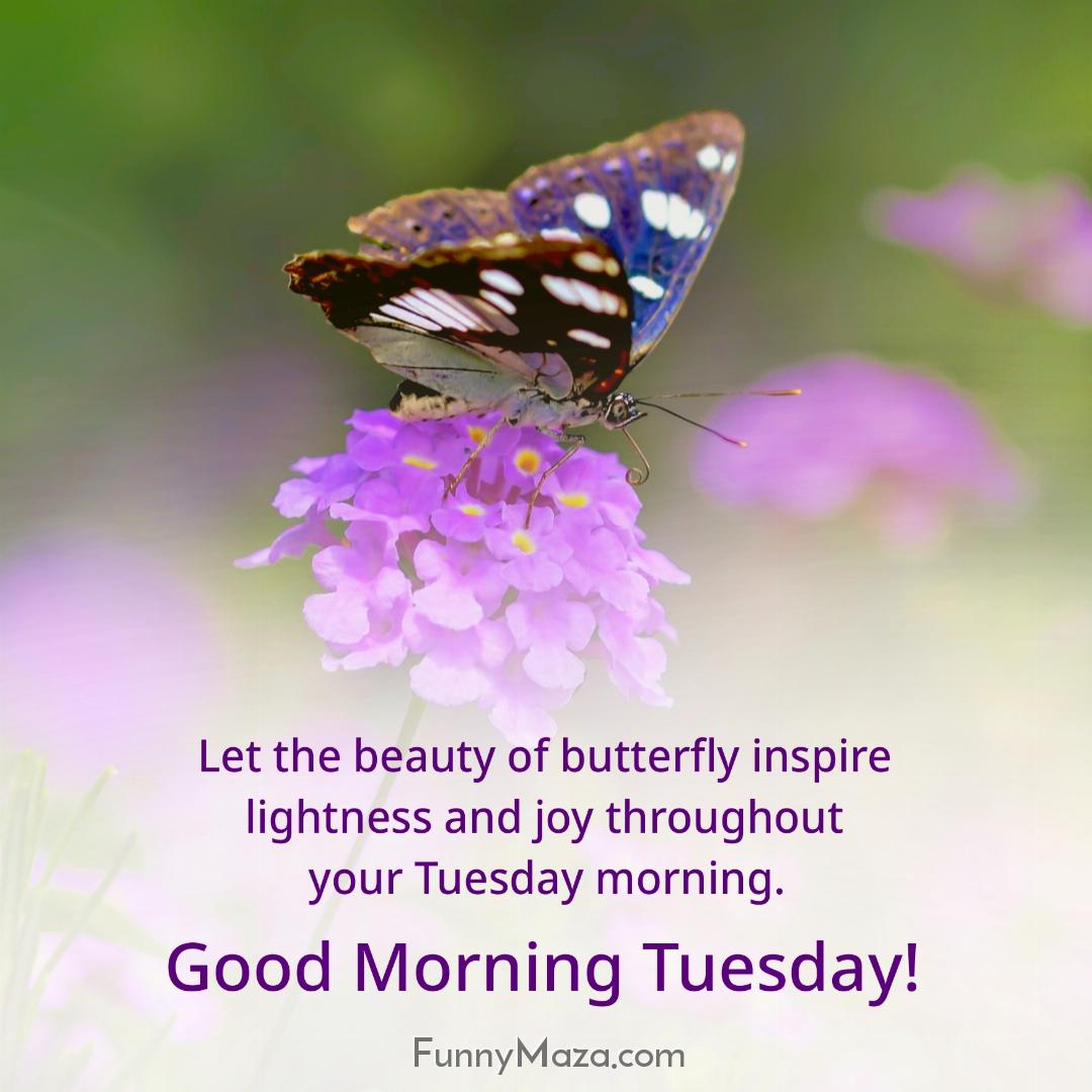 Let the beauty of butterfly inspire lightness and joy throughout your