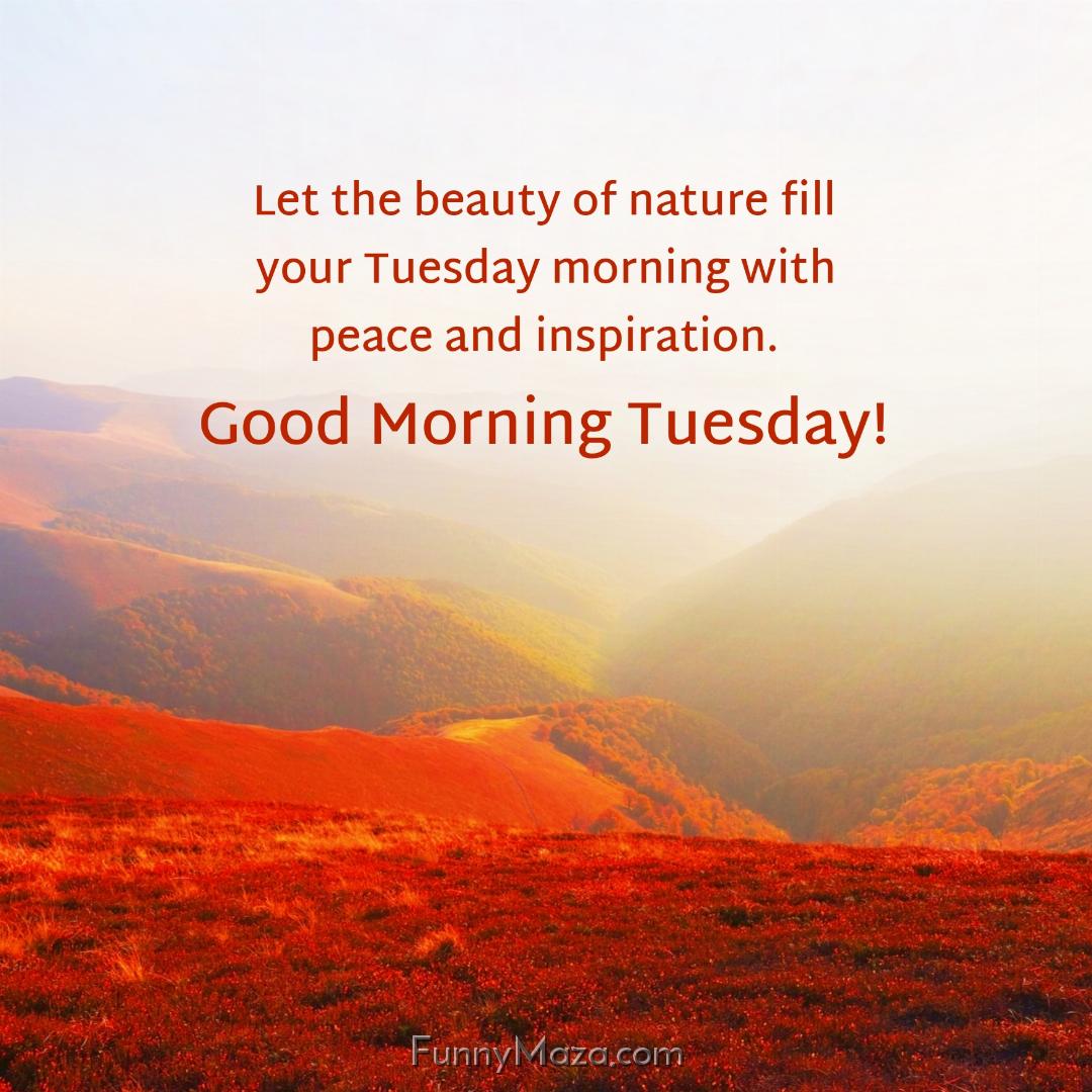 Let the beauty of nature fill your Tuesday morning with peace