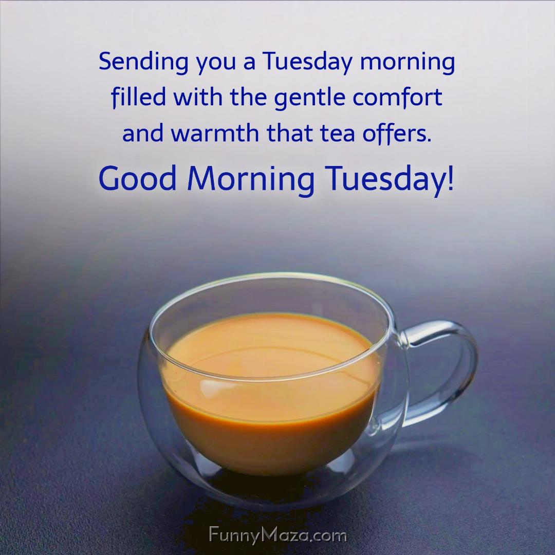 Sending you a Tuesday morning filled with the gentle comfort and