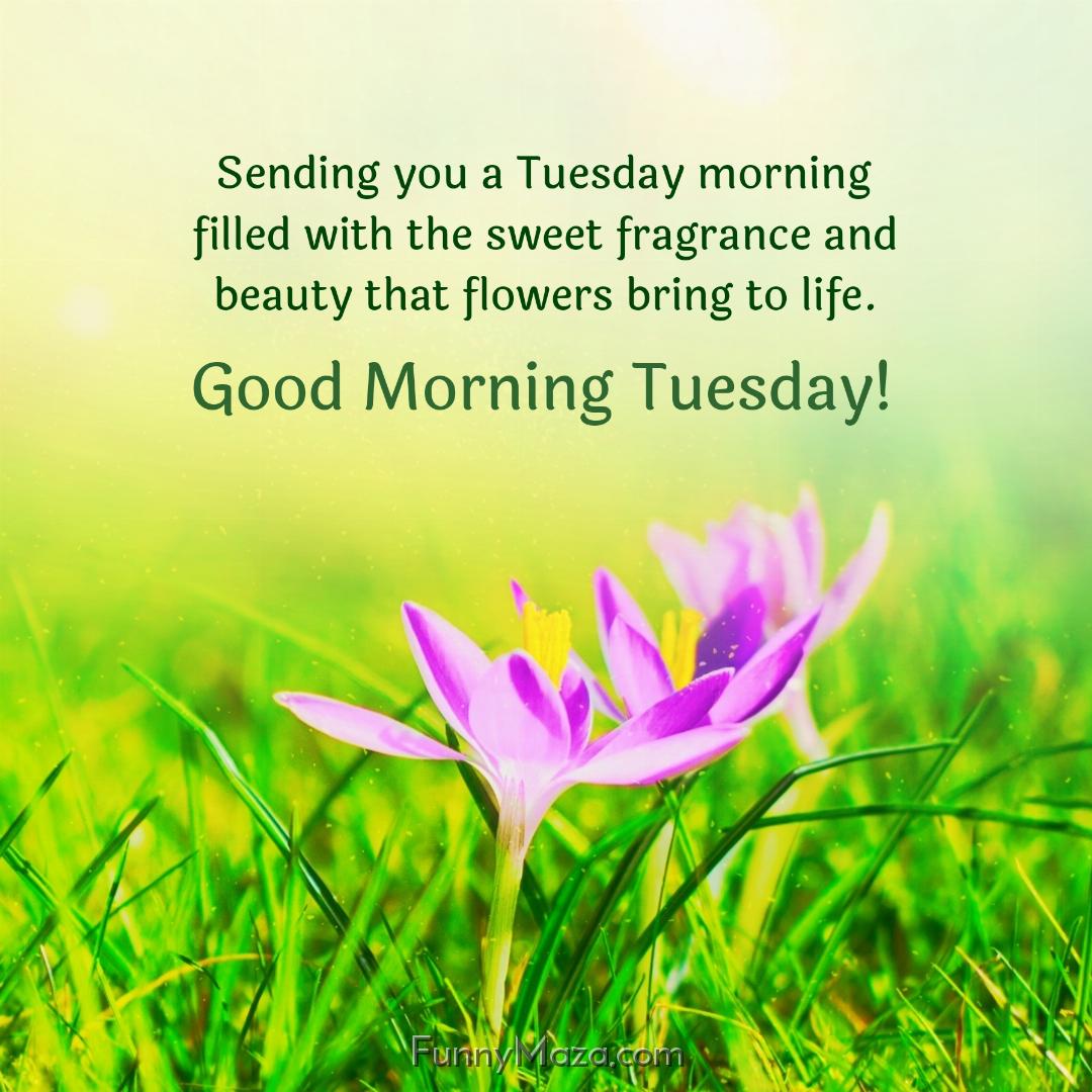 Sending you a Tuesday morning filled with the sweet fragrance and