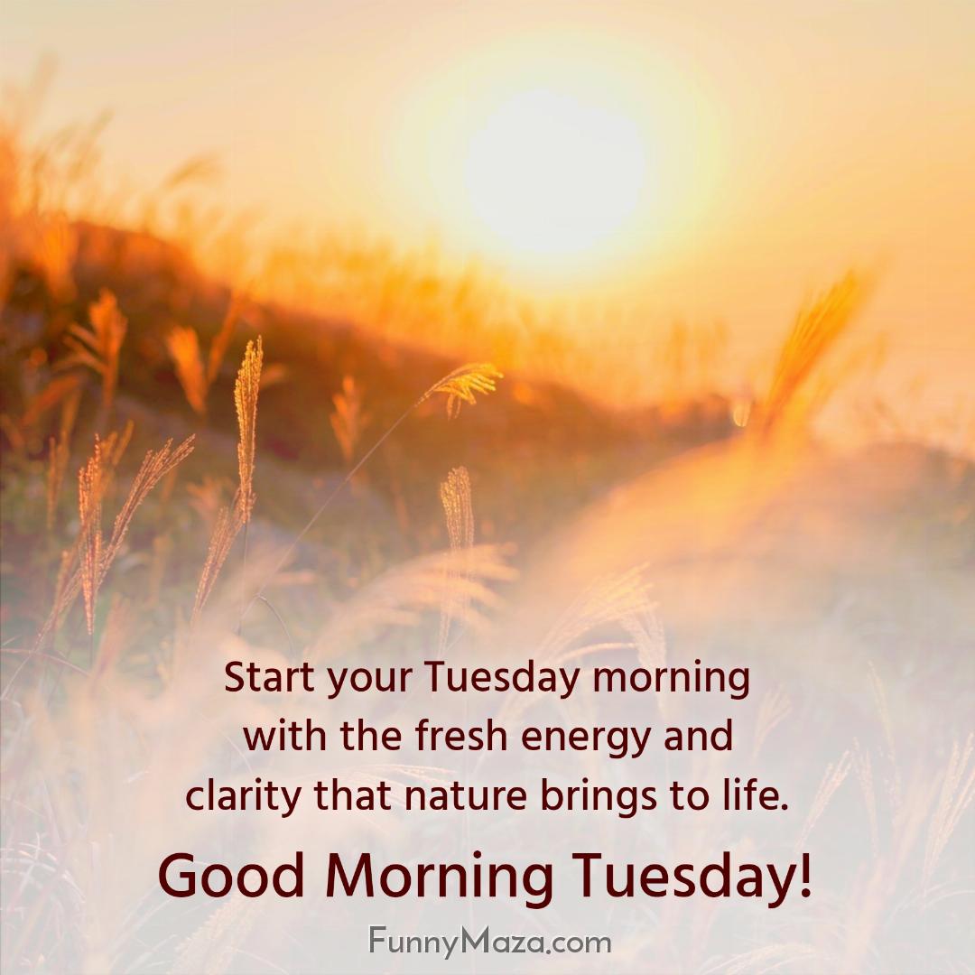 Start your Tuesday morning with the fresh energy and clarity that