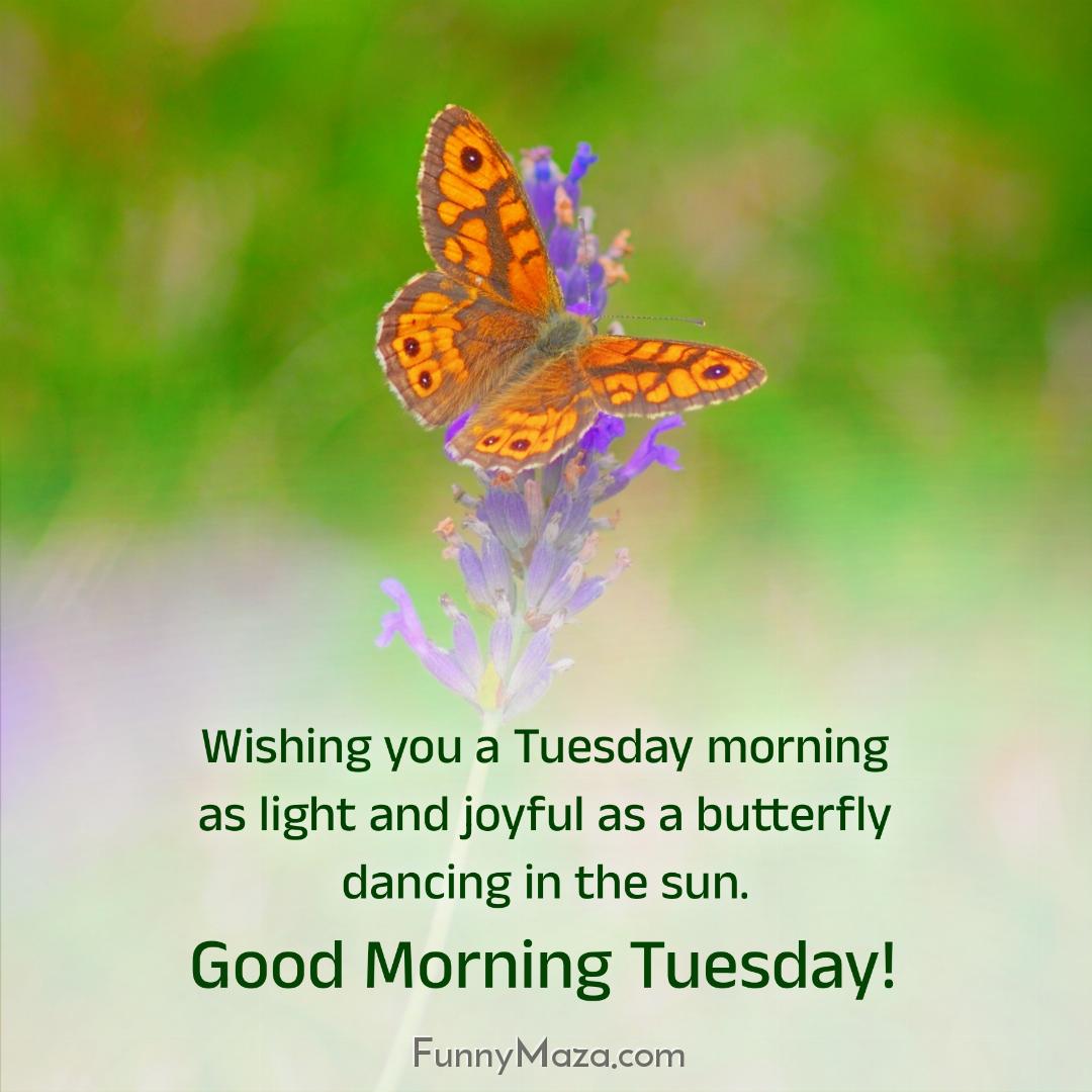 Wishing you a Tuesday morning as light and joyful as a