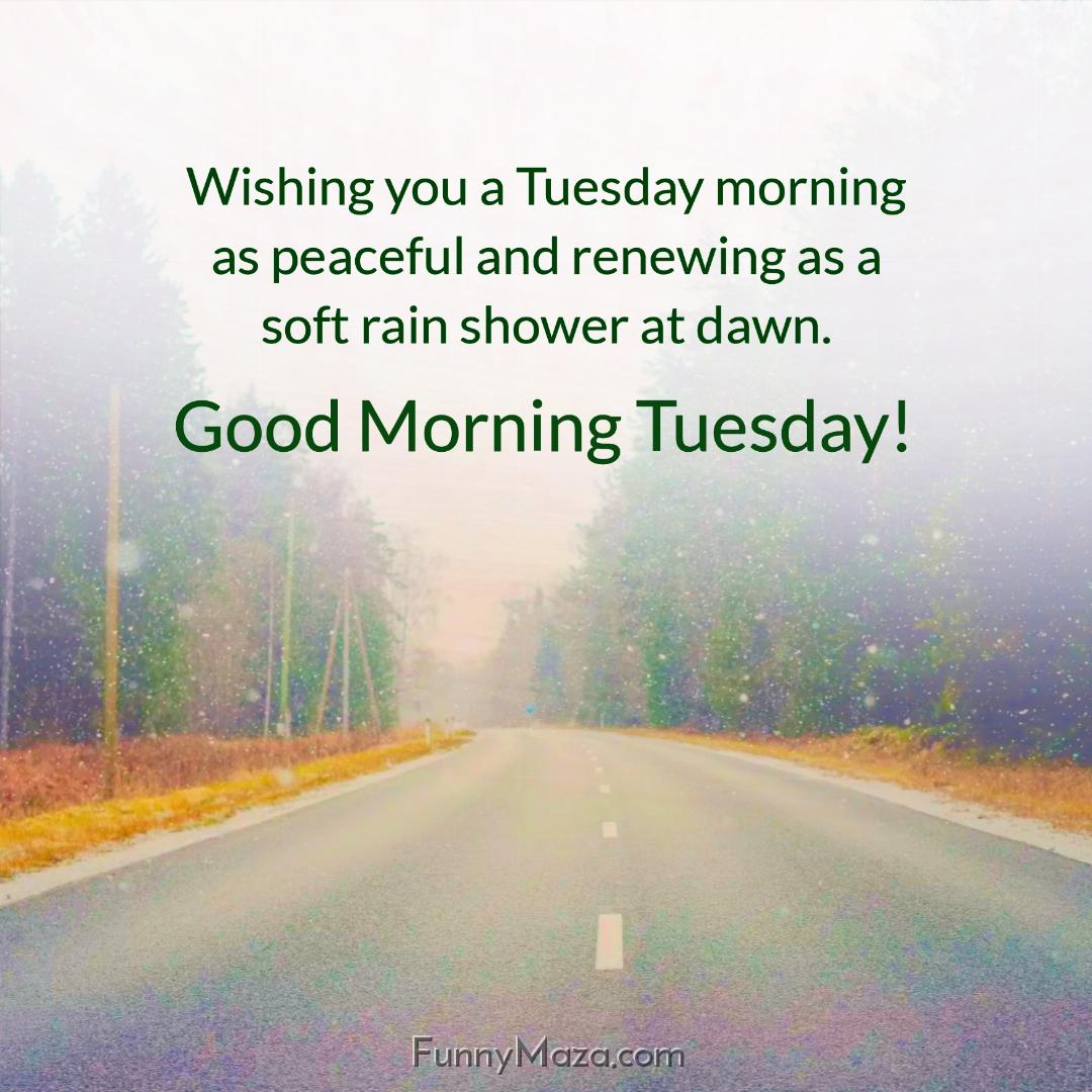 Wishing you a Tuesday morning as peaceful and renewing as a