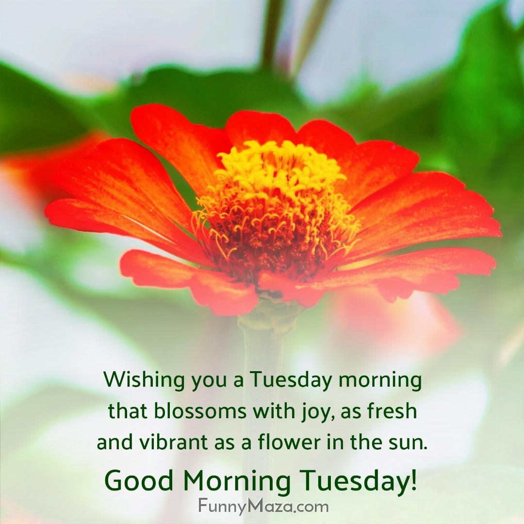 Wishing you a Tuesday morning that blossoms with joy as fresh